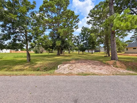 2214 Mamie Ford Rd, Alvin, TX 77511