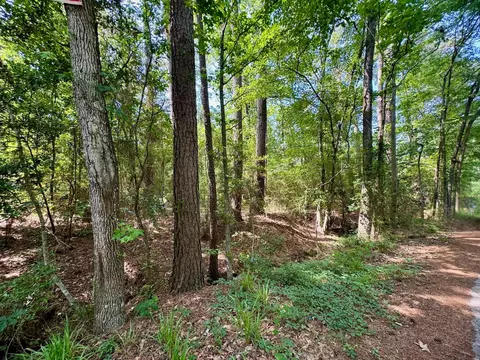 tbd Crockett Rd, Willis, TX 77378 photo 9