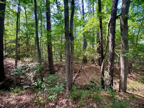 tbd Crockett Rd, Willis, TX 77378 photo 6