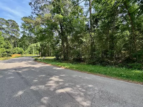 tbd Crockett Rd, Willis, TX 77378 photo 13