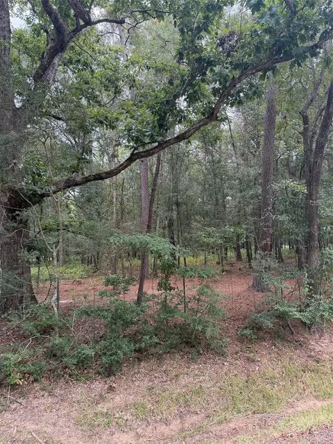 31780 Huffman New Caney Rd, New Caney, TX 77357