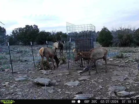 Other - 0 Peck Rd, Comstock, TX 78837 photo 9 of 16