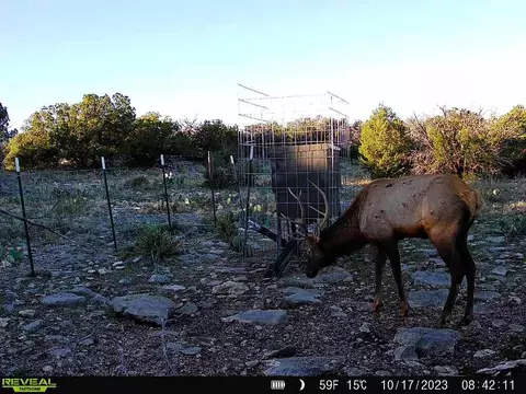 Other - 0 Peck Rd, Comstock, TX 78837 photo 8 of 16