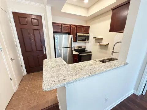 4515 Briar Hollow Pl #315, Houston, TX 77027