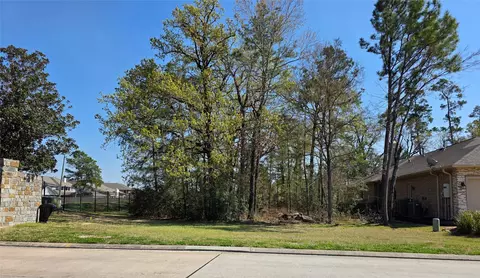 25103 Arcane Ct, Spring, TX 77389