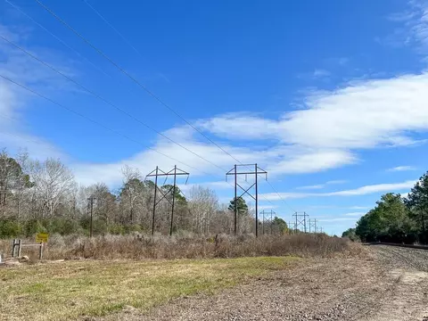 0 Joe Allen Rd, Honey Island, TX 77625