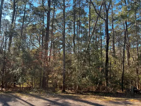 61 Sunny Hill Dr, Coldspring, TX 77331