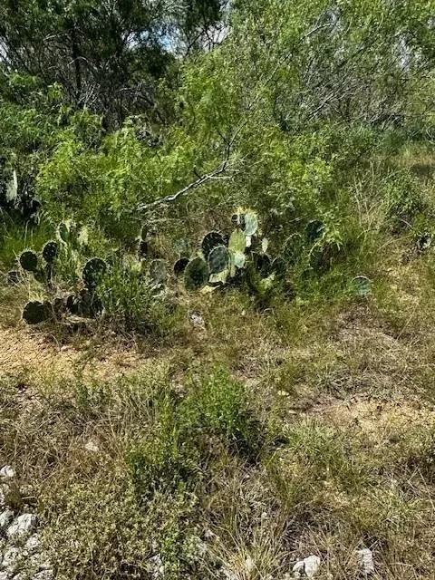 lot4 County Road 420, Waelder, TX 78959