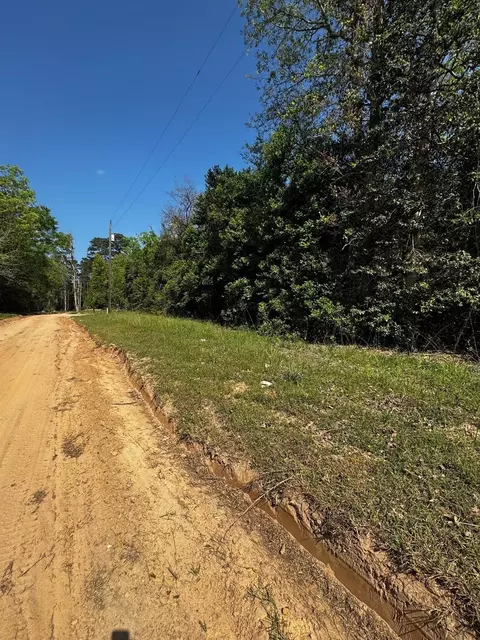 tbd Lannie Blvd, Livingston, TX 77351