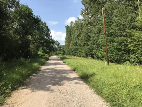 lot193 Elmwood Dr, Livingston, TX 77351