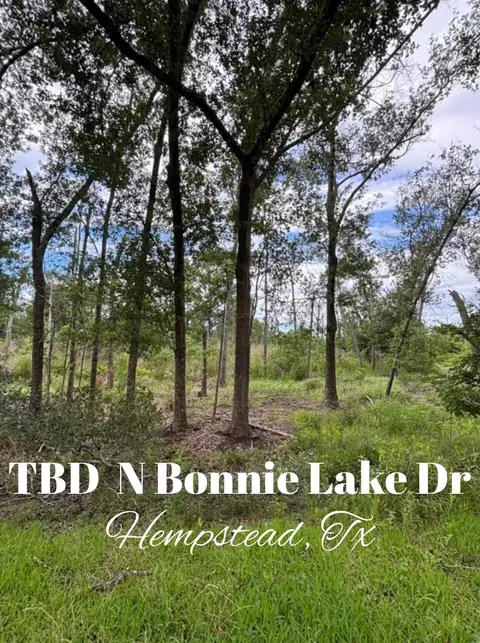 tbd N Bonnie Lake Dr, Hempstead, TX 77445