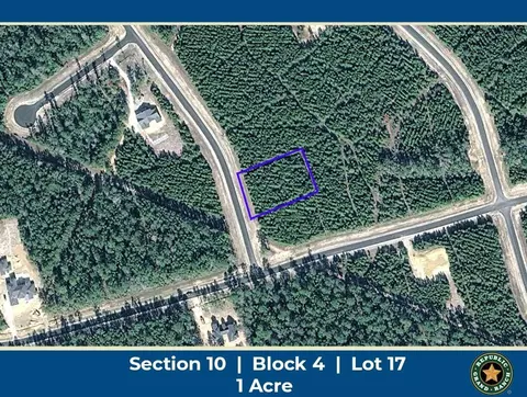 11508 Inspiration Dr, Willis, TX 77378