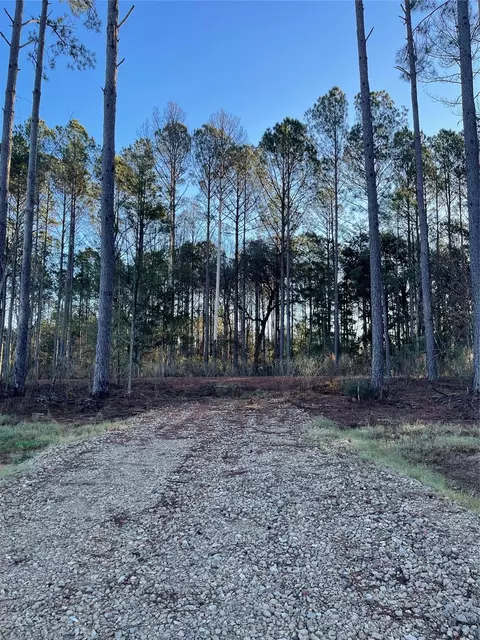 11362 Annie Creek Dr, Willis, TX 77378