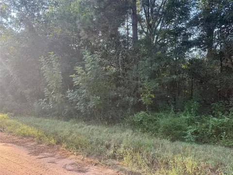 tbd Richard St, Coldspring, TX 77331