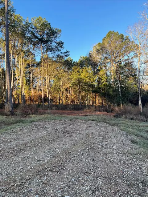 11345 Annie Creek Dr, Willis, TX 77378