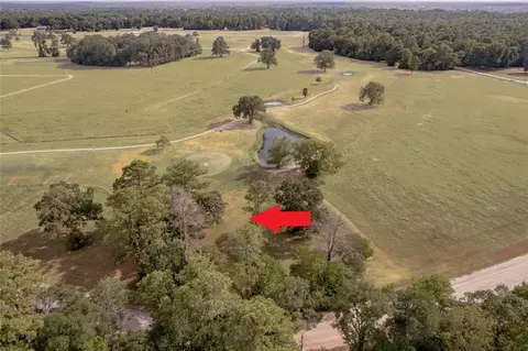 lot2 C Charleston St, Trinity, TX 75862