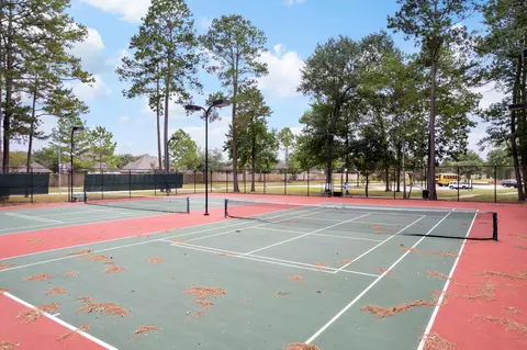 View/Area - 29907 Adobe Falls Dr, Spring, TX 77386 photo 6 of 7