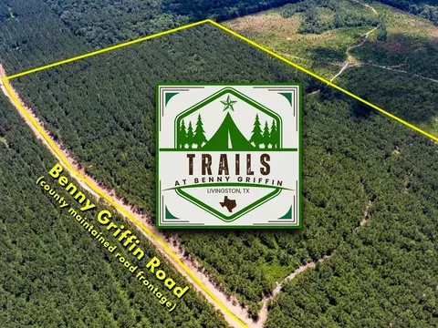 04 Benny Griffin Rd, Dallardsville, TX 77351