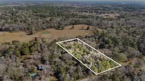 15685 Mckay Rd, Willis, TX 77378