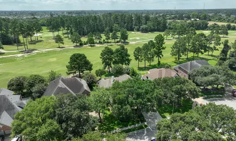 View/Area - 20110 Stormy Pine Ln, Spring, TX 77379 photo 3 of 4