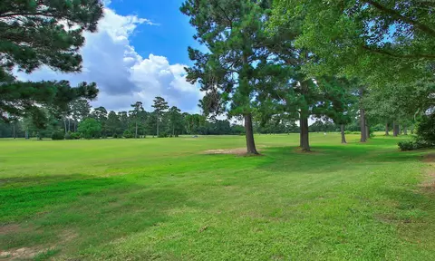 Exterior - 20110 Stormy Pine Ln, Spring, TX 77379 photo 6 of 11