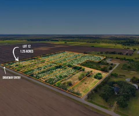 lot12 Cow Creek Rd, Damon, TX 77430
