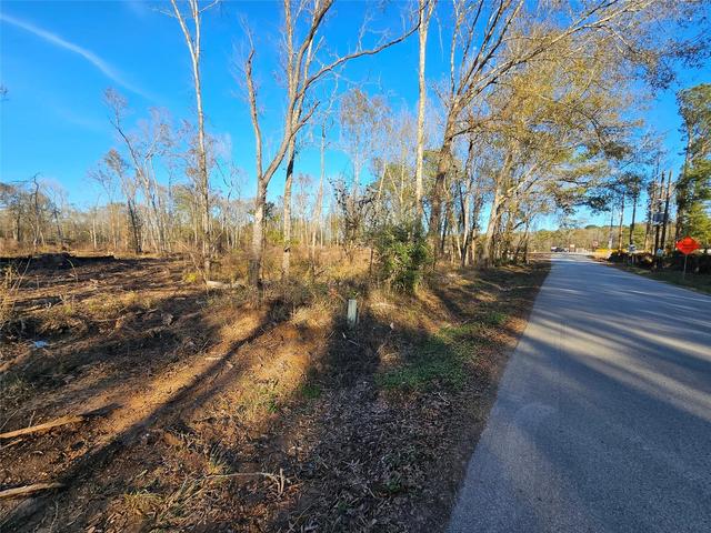 lot47 Sherwood Dr, Shepherd, TX 77371