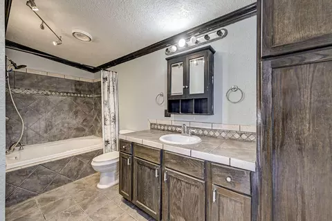 Bath - 858 Big Hawg Dr, Trinity, TX 75862 photo 1 of 5