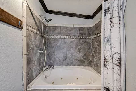 Bath - 858 Big Hawg Dr, Trinity, TX 75862 photo 3 of 5