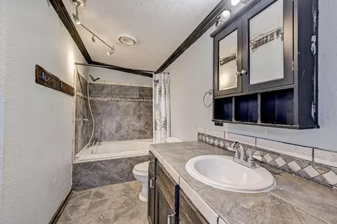 Bath - 858 Big Hawg Dr, Trinity, TX 75862 photo 2 of 5