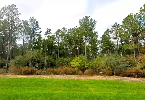 15611 Intrepid Ln, Willis, TX 77378 photo 1