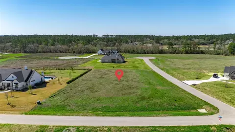 8572 Cedar Lake Ln, Plantersville, TX 77363