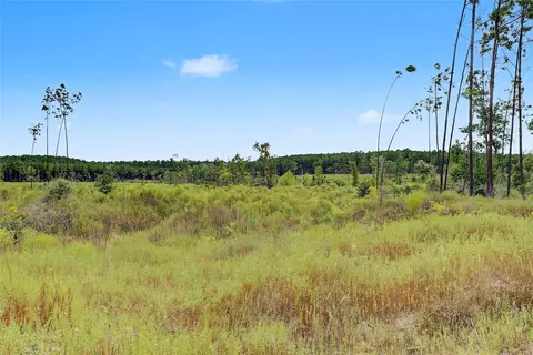 tbd Fm 980, Huntsville, TX 77340