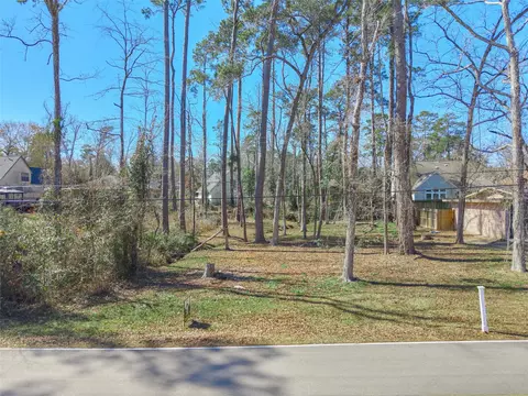 86 Hanover Ln, Conroe, TX 77304