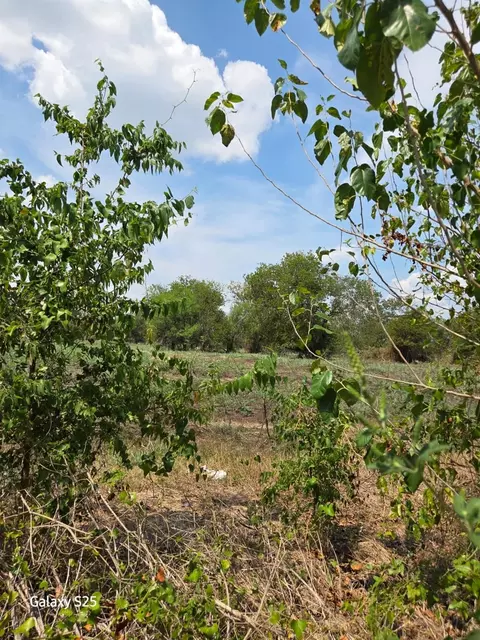 5000 E State Highway 21, Bryan, TX 77808 photo 7