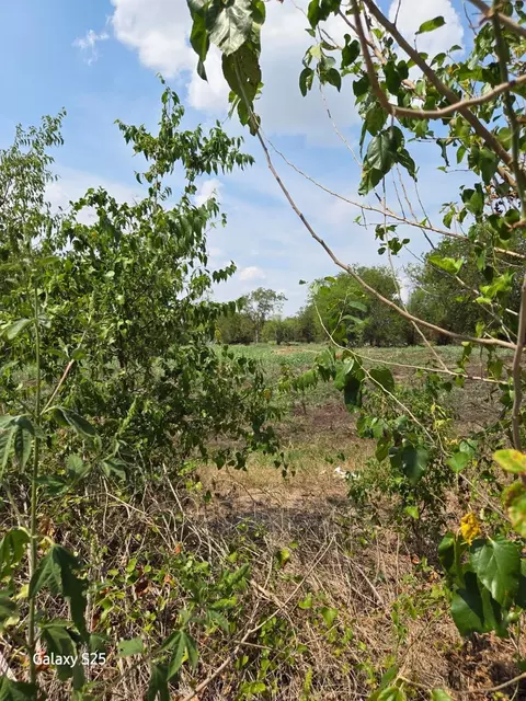 5000 E State Highway 21, Bryan, TX 77808 photo 9