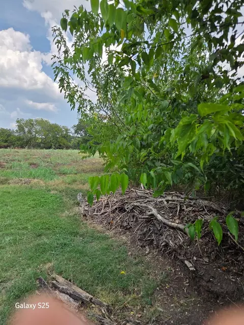 5000 E State Highway 21, Bryan, TX 77808 photo 8