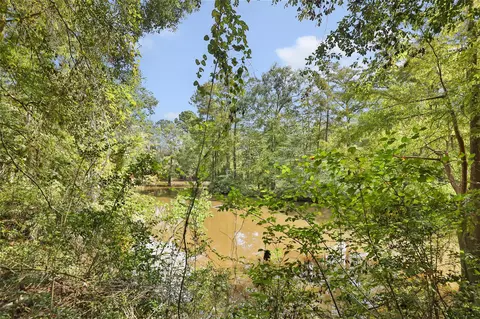 View/Area - 29430 E Irvin Rd, Huffman, TX 77336 photo 3 of 3