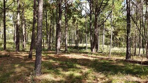 tbd Cherokee Trl, Lovelady, TX 77851
