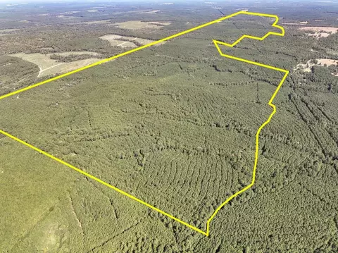 T-3 Cr 2150, Woodville, TX 75979