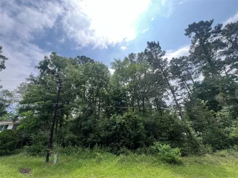 tbd Ibex S, Onalaska, TX 77360