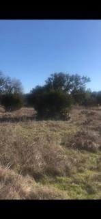 677 Mystic Shrs Blvd