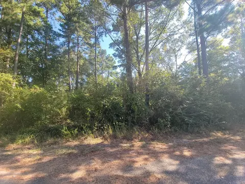 30 Jeffery Dr, Huntsville, TX 77320