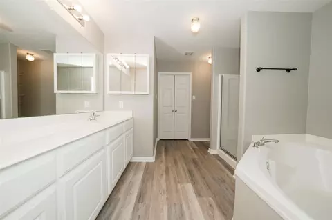 Other - 28894 Llano River Loop, Spring, TX 77386 photo 4 of 7