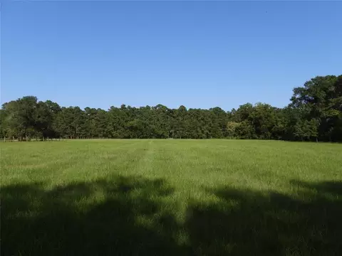 18855 Bethel Rd, Richards, TX 77873