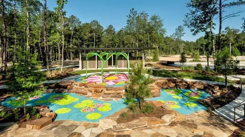 View/Area - 15618 Turtlehead Trl, Conroe, TX 77302 photo 12 of 20