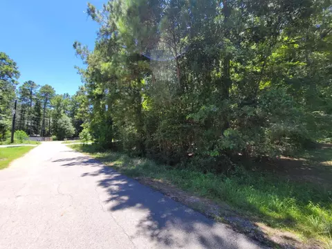 0 Hickory Dr, Montgomery, TX 77356