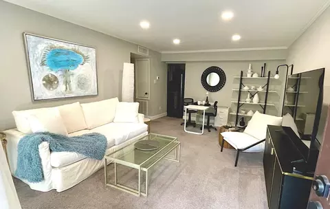 2507 Montrose Blvd #11, Houston, TX 77006