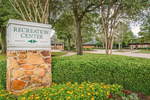 View/Area - 1207 Walston Ridge Dr, Spring, TX 77379 photo 3 of 6