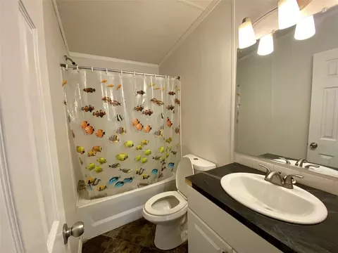 Bath - 287 Pine Ln, Onalaska, TX 77360 photo 5 of 5